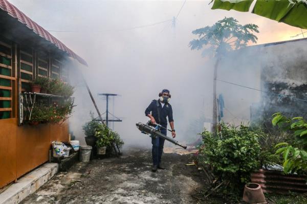 卫生部：登革热病例下降2.2％，报告四起死亡案例